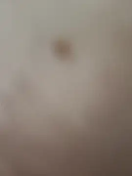 elvergon8721 online show from 02-20-26, 05:26