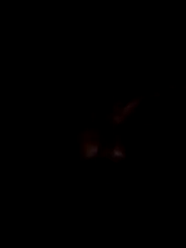 Harry302933 online show from 03-11-26, 04:56