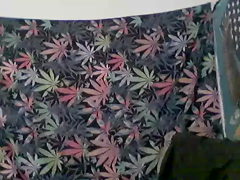 libraxxxstudios online show from 06-12-26, 12:36