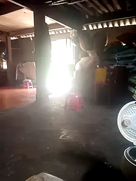 Snapshot of cana4455 chatting on 03-24-26, 05:40 cana4455 online show from 03-24-26, 05:40