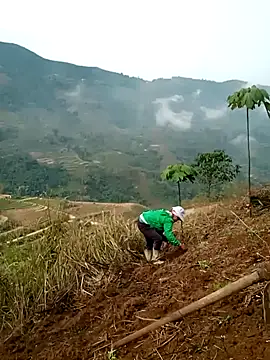 Snapshot of cana4455 chatting on 03-10-26, 02:26 cana4455 online show from 03-10-26, 02:26