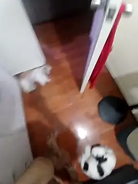 Taboada20 online show from 04-08-26, 10:39