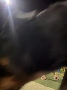 Snapshot of Arya___ chatting on 02-19-26, 05:48 Arya online show from 02-19-26, 05:48