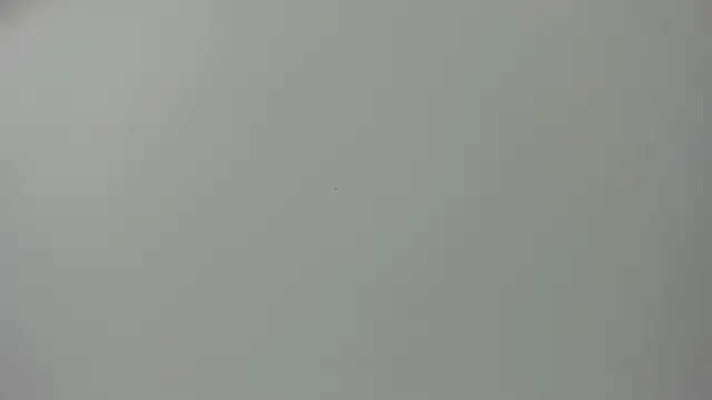 Raven love online show from 04-28-26, 05:17