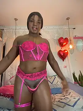 Snapshot of FerSecret_ chatting on 02-21-26, 09:17 FerSecret online show from 02-21-26, 09:17