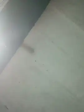 Hot ras28 online show from 02-20-26, 09:28