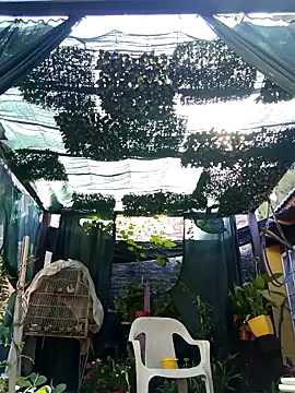 Snapshot of gordorichard chatting on 02-21-26, 12:40 gordorichard online show from 02-21-26, 12:40