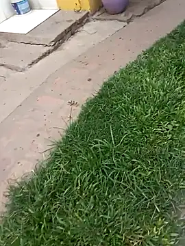 Snapshot of gordorichard chatting on 02-04-26, 04:46 gordorichard online show from 02-04-26, 04:46