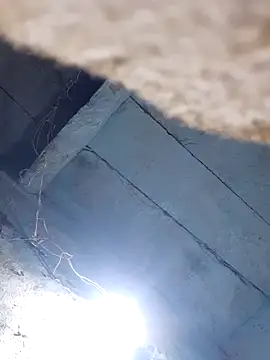 Snapshot of sapnaroy120 chatting on 03-03-26, 04:36 sapnaroy120 online show from 03-03-26, 04:36