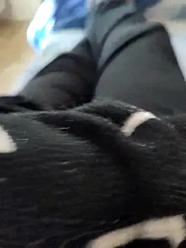 pericolo90 online show from 04-07-26, 09:11