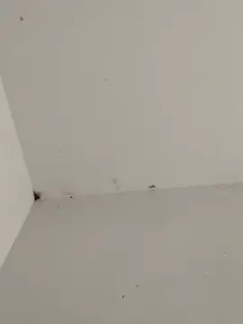 -for-you- online show from 02-23-26, 11:44