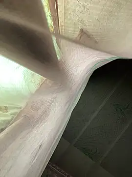 Kimochi baby online show from 03-22-26, 06:04