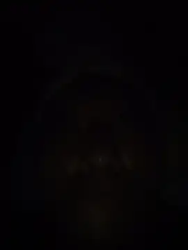 perrit17 online show from 04-06-26, 10:27