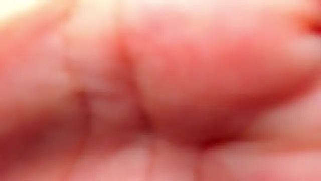 Snapshot of RinaFox__ chatting on 02-21-26, 01:18 RinaFox online show from 02-21-26, 01:18