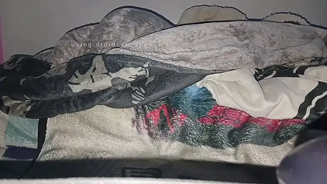 rodrigo uwu1 online show from 02-08-26, 09:01