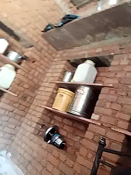 Hot ree64 online show from 03-02-26, 06:03