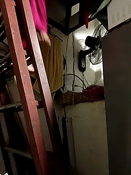 Snapshot of Wildcam21 chatting on 02-15-26, 05:19 Wildcam21 online show from 02-15-26, 05:19