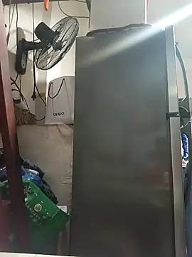 Snapshot of Wildcam21 chatting on 03-03-26, 11:17 Wildcam21 online show from 03-03-26, 11:17