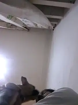 CubanoxxxSex online show from 02-12-26, 05:13