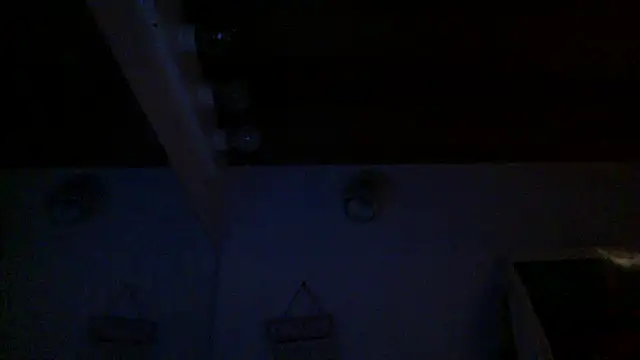 dixiedevin online show from 03-05-26, 10:45