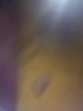 Snapshot of cuunon11 chatting on 02-18-26, 12:08 cuunon11 online show from 02-18-26, 12:08