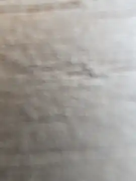 manish 8826 online show from 02-12-26, 08:47