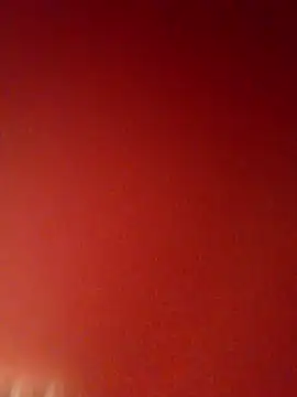 Henry20099 online show from 04-10-26, 05:53