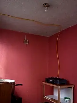 baby 22cm online show from 03-13-26, 11:59