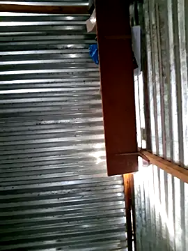 DocCock021 online show from 02-07-26, 05:04