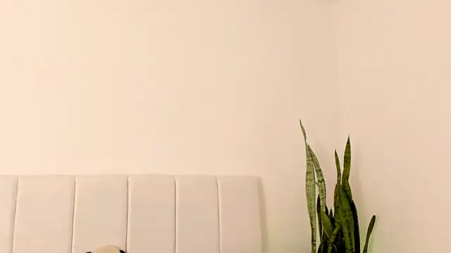 Snapshot of BekyAbeni chatting on 05-14-26, 03:53 BekyAbeni online show from 05-14-26, 03:53