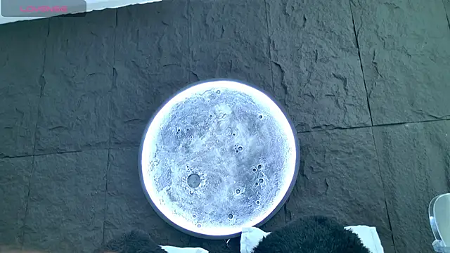 Alice-Bunny online show from 02-18-26, 08:27