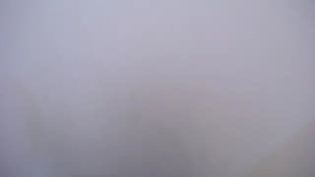 Kitty f00x online show from 05-21-26, 07:11