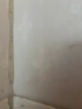 Ronny69y online show from 02-20-26, 06:26