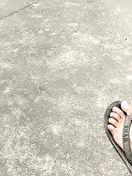 Snapshot of collboy8166 chatting on 02-16-26, 06:12 collboy8166 online show from 02-16-26, 06:12