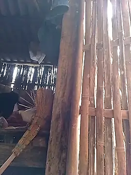 Snapshot of Nhoccon90 chatting on 03-02-26, 02:45 Nhoccon90 online show from 03-02-26, 02:45