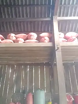 Linka998 online show from 03-03-26, 06:31