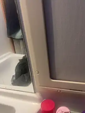 Snapshot of stallone_italiano_62 chatting on 02-26-26, 06:57 stallone italiano 62 online show from 02-26-26, 06:57