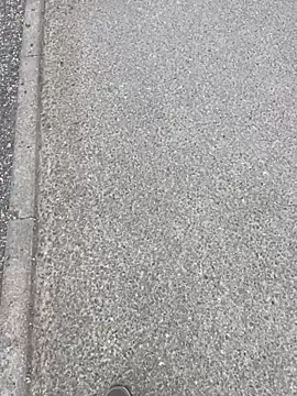 stallone italiano 62 online show from 04-12-26, 06:16