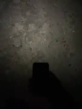 Snapshot of stallone_italiano_62 chatting on 02-17-26, 11:24 stallone italiano 62 online show from 02-17-26, 11:24