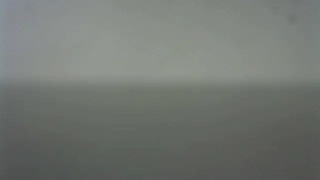 Thommas8a online show from 02-22-26, 03:53