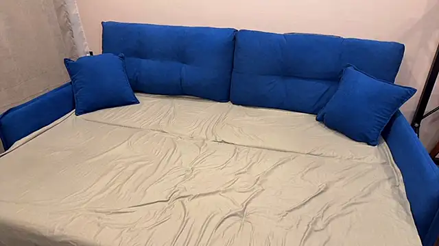 vanalah online show from 02-11-26, 10:09