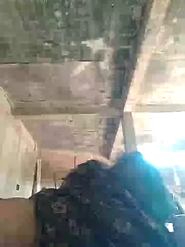 Loomaraj online show from 04-12-26, 07:33