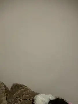 justinahallo online show from 03-07-26, 04:30