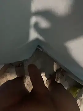 tardecaliente online show from 02-26-26, 07:08