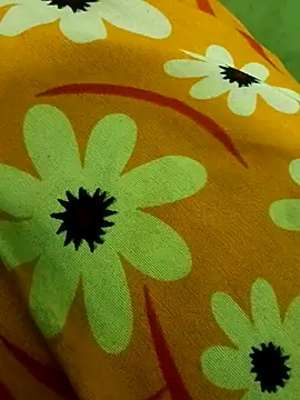 Snapshot of Ranjet01 chatting on 02-13-26, 01:33 Ranjet01 online show from 02-13-26, 01:33