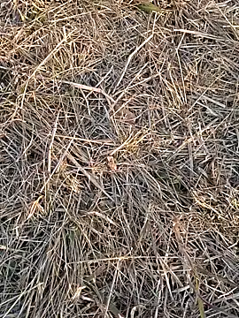 Snapshot of Kiran_hote chatting on 02-13-26, 11:54 Kiran hote online show from 02-13-26, 11:54