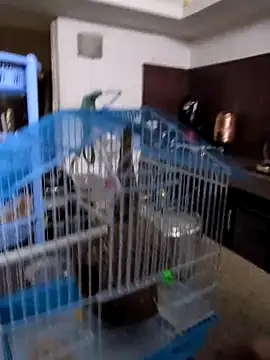 Snapshot of sexysilmy chatting on 02-25-26, 08:36 sexysilmy online show from 02-25-26, 08:36