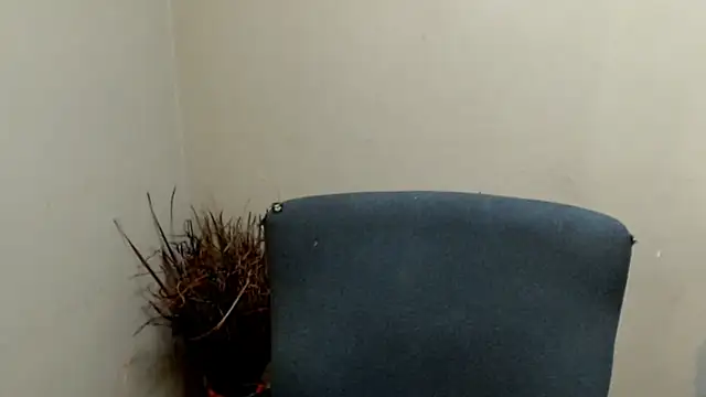 BigBunSquirt online show from 05-16-26, 11:53