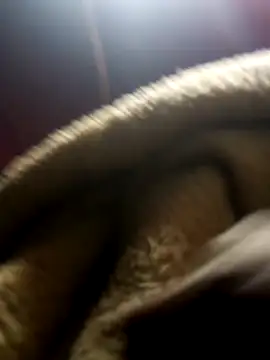 Snapshot of jodezww chatting on 03-01-26, 08:47 jodezww online show from 03-01-26, 08:47