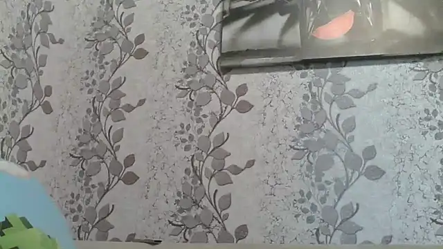 Shailadiess online show from 05-18-26, 07:13